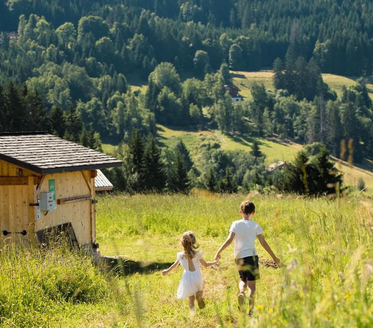 Chalet Alpen Valley, Mont-Blanc Combloux